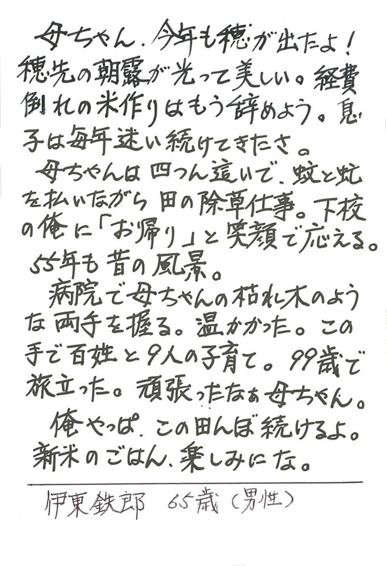 母ちゃん、今年も穂が出たよ！ 穂先の朝露が光って美しい。 経費倒れの米作りはもう辞めよう。 息子は毎年迷い続けてきたさ。 母ちゃんは四つん這いで、蚊と虻を払いながら田の除草仕事。 下校の俺に「お帰り」と笑顔で応える。 55年も昔の風景。 病院で母ちゃんの枯れ木のような両手を握る。 温かかった。 この手で百姓と９人の子育て。 99歳で旅立った。頑張ったなぁ母ちゃん。 俺やっぱ、この田んぼ続けるよ。 新米のごはん、楽しみにな。