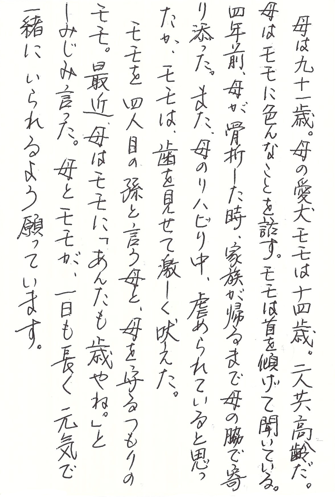 母は九十一歳。 母の愛犬モモは十四歳。 二人共高齢だ。 母はモモに色んなことを話す。 モモは首を傾げて聞いている。 四年前、母が骨折した時、 家族が帰るまで母の脇で寄り添った。 また、母のリハビリ中、虐められていると思ったか、 モモは、歯を見せて激しく吠えた。 モモを四人目の孫と言う母と、母を守るつもりのモモ。 最近、母はモモに「あんたも歳やね」と しみじみ言った。 母とモモが、一日も長く元気で 一緒にいられるよう願っています。